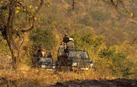 Bandhavgarh Jeep Safari Cost