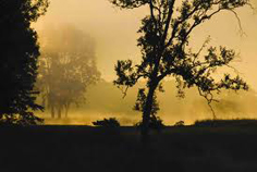 Kanha Tiger Reserve Service