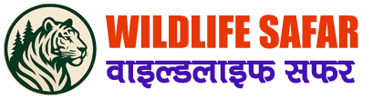 Wildlife Safar